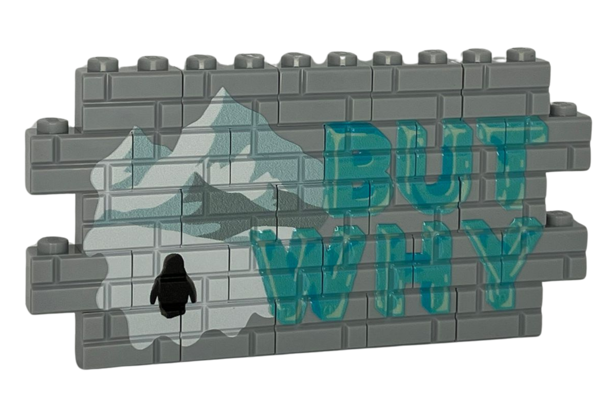 Custom LEGO® Graffiti-Wand „But Why“ – 1×12 Noppen – bedruckt - Brickhunter.shop