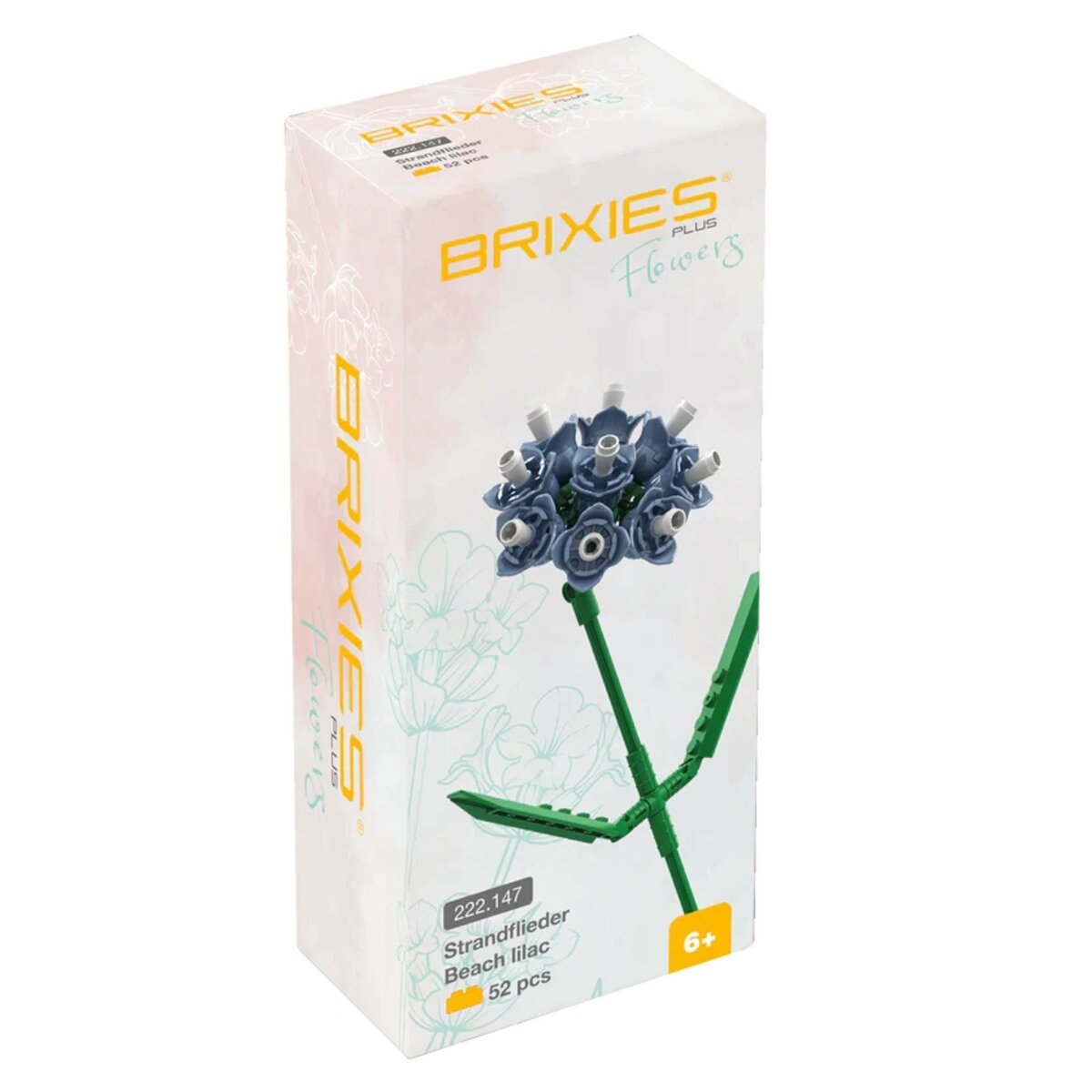 brixies-plus-flowers-strandflieder-38ED1E162.jpg